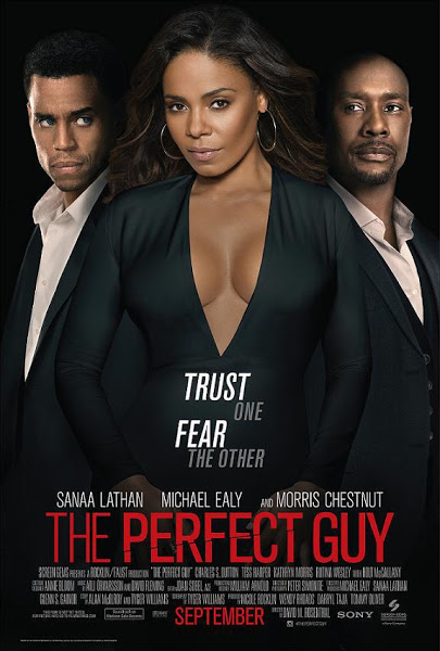 The Perfect Guy (2015)